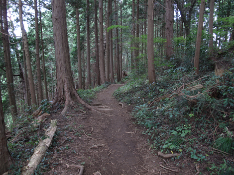 20161014hike (84)